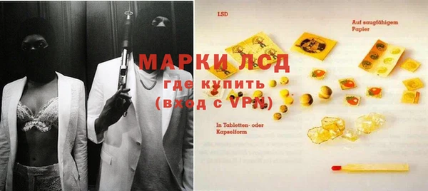 индика Нефтекумск