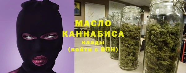 прущий лед Новозыбков