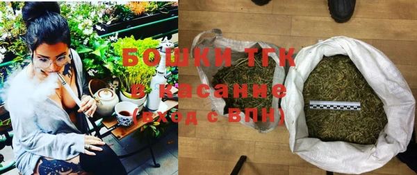 прущий лед Новозыбков