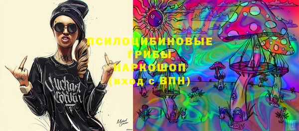 индика Нефтекумск
