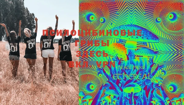 прущий лед Новозыбков