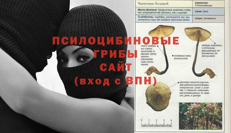 Галлюциногенные грибы GOLDEN TEACHER  где найти   Калязин 